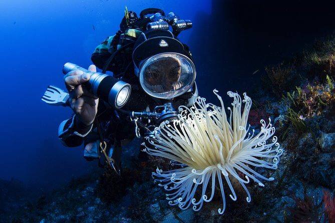 Scuba diving in Calabria, Italy - The Sum Up