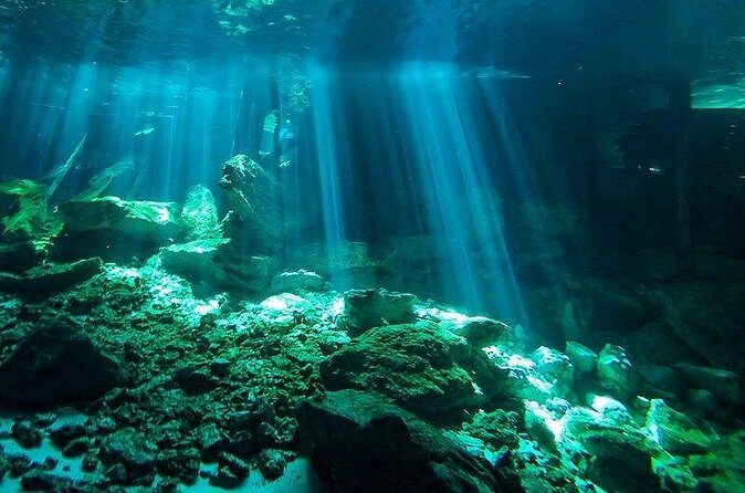 Scuba Diving in Cenote Dos Ojos from Playa del Carmen - Who Is This Tour Best For?