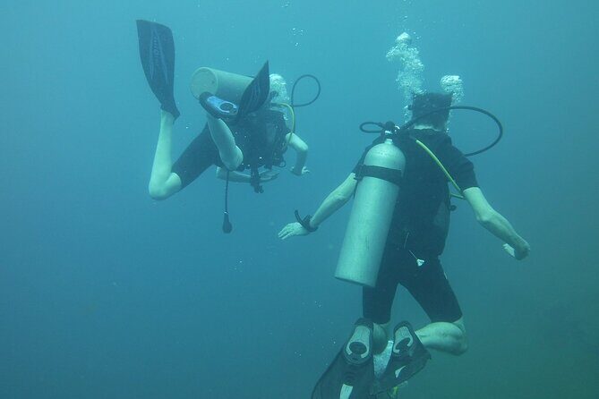 Scuba Diving in Colombo - Key Points