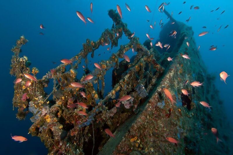 Scuba Diving in Dubrovnik: 1 Dive for Certified Divers - Unveiling the Croatian Underwater Scene: What to Expect from the Tour