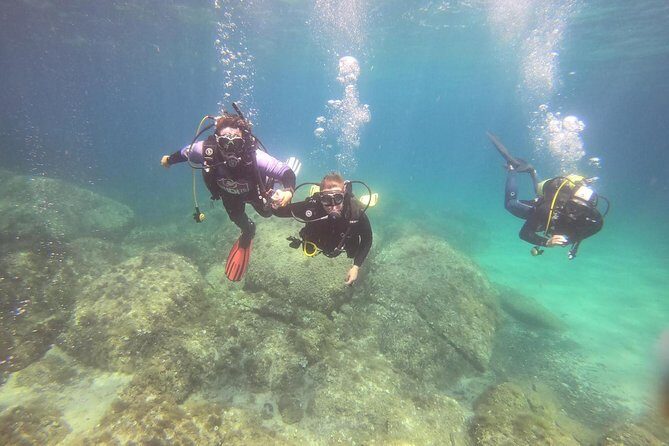 Scuba Diving in La Maddalena & Lavezzi Park for certified divers. - Introduction