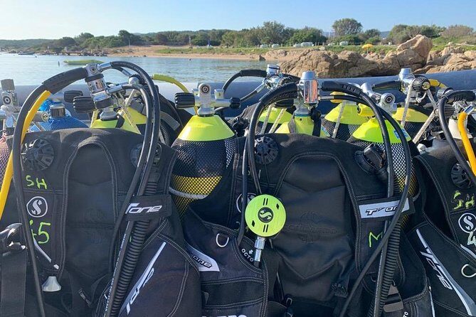 Scuba Diving in La Maddalena & Lavezzi Park for certified divers. - The Sum Up