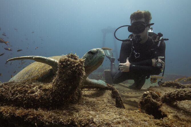 Scuba Diving in La Paz Private Tour - FAQ