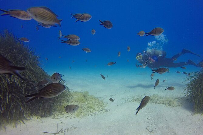 Scuba Diving in MIG-21 wreck - Introduction to the MIG-21 Wreck Experience