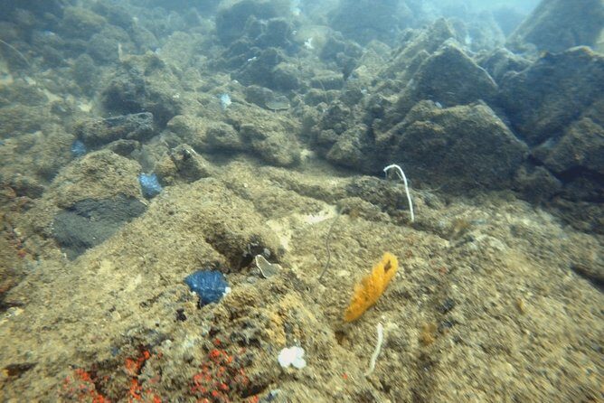 Scuba Diving in Mirissa - Key Points