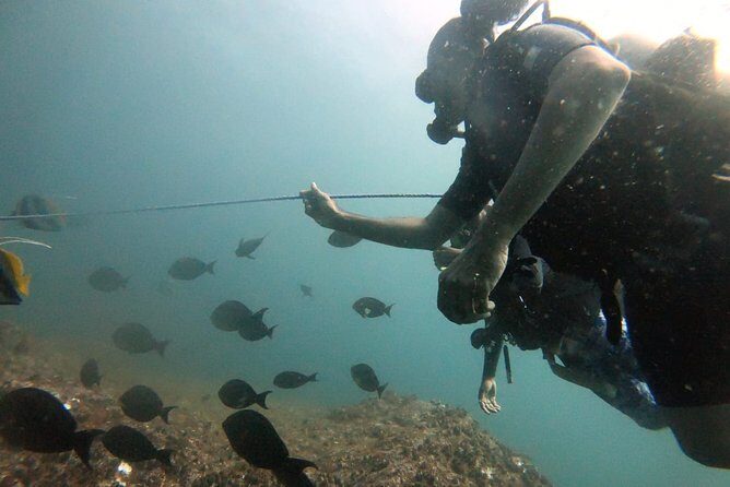 Scuba Diving in Mirissa - The Sum Up