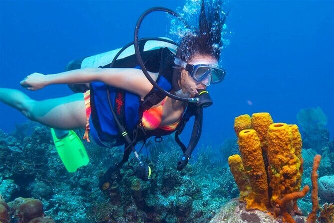 Scuba Diving in Mount Lavinia - Why This Tour Offers Good Value