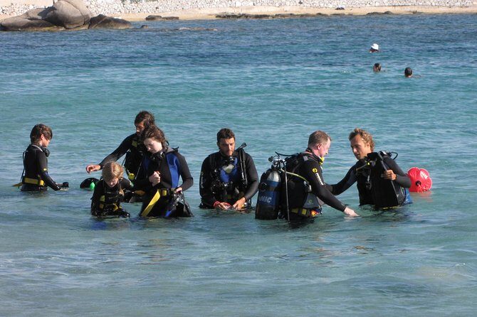 Scuba Diving in Naxos by Bluefindivers - Dive in Greece - Amazing Diving Spots - Authentic Insights from Reviewers