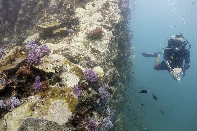 Scuba Diving in Phuket  Full-Day Trip (3 Dives, All Included) - Food, Comfort, and Convenience