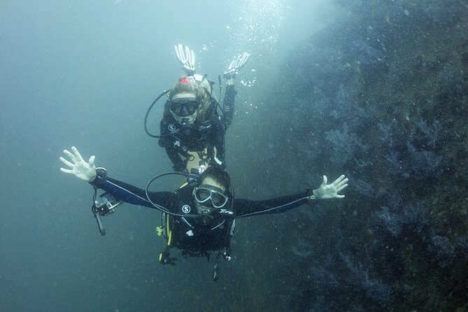 Scuba Diving in Phuket  Full-Day Trip (3 Dives, All Included) - Final Thoughts