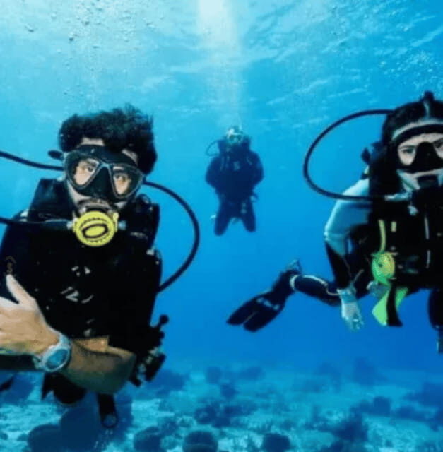 Scuba Diving Playa del Carmen: PADI Open Water Certification - Why Choose This Certification?