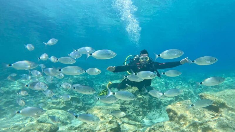 Scuba diving-private and individual No certification needed - Key Points