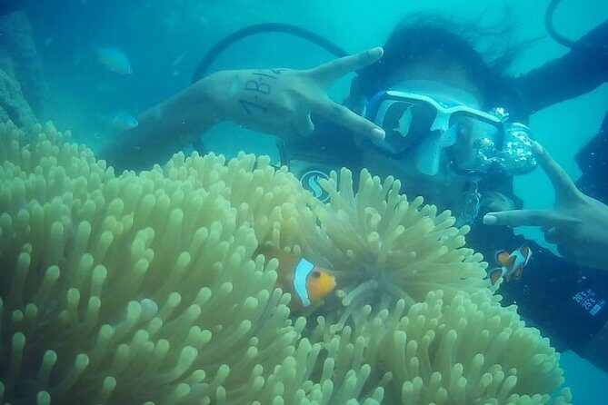 Scuba Diving (shore Dive) at Havelock Islands - In-Depth Look at the Experience