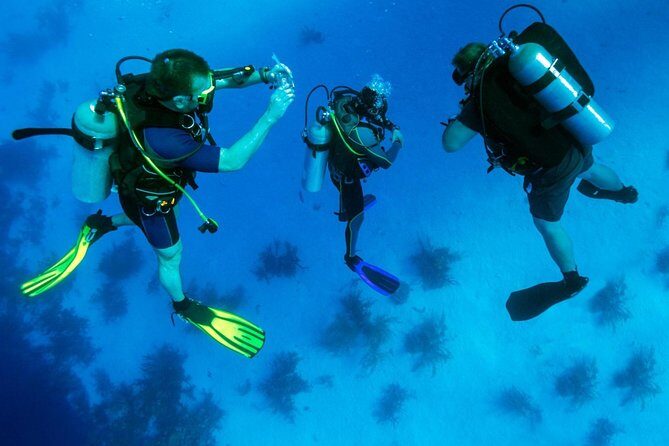 Scuba Diving Tour From Kusadasi / Selcuk - Analyzing the Price and Overall Value