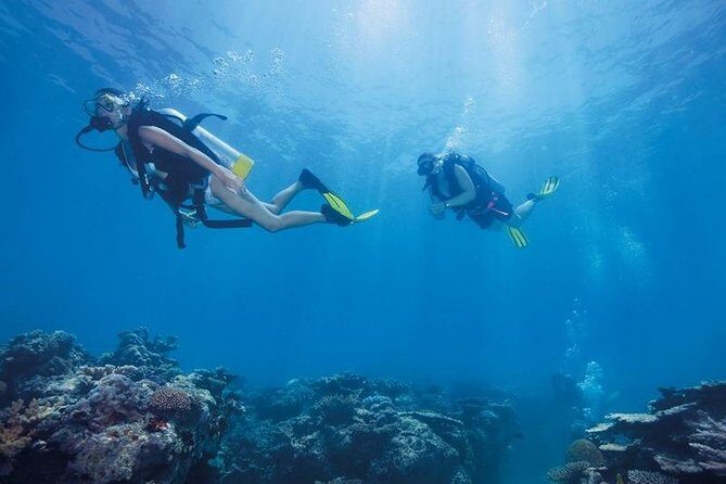 Scuba Diving Tour From Kusadasi / Selcuk - Why This Tour Stands Out