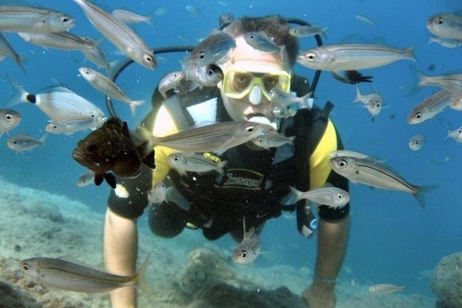 Scuba Diving Tour From Kusadasi / Selcuk - FAQs