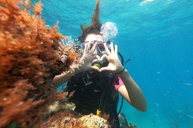 Scuba Diving Tour With Lunch in Alanya - Who Should Consider This Tour?