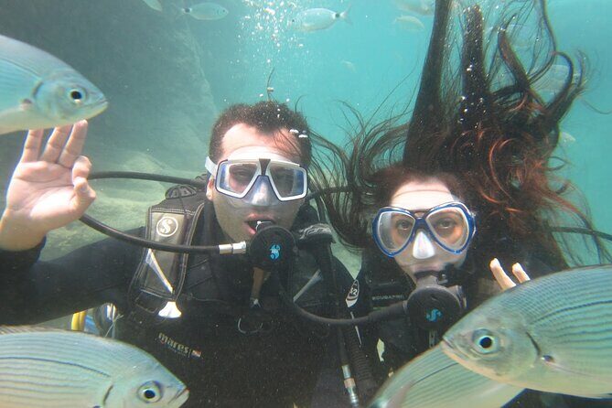 Scuba Diving Tour With Lunch in Alanya - The Sum Up