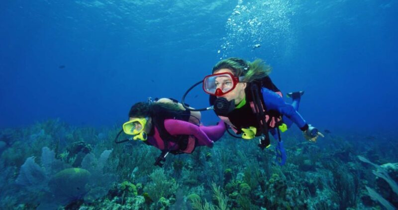 Scuba Diving Tour with Transfer From Alanya and city of Side - The Sum Up