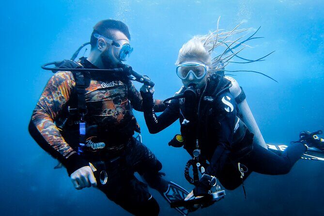 Scuba Diving Trip to Sail Rock From Koh Phangan (Certified Divers) - An In-Depth Look at the Sail Rock Diving Experience