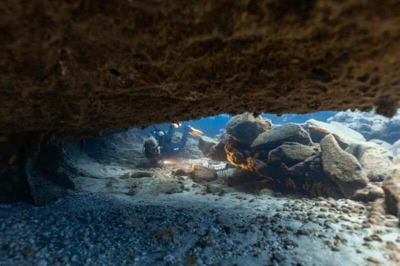 Scuba Diving trips for Certified Divers in Tenerife - Who Is This Tour Best For?