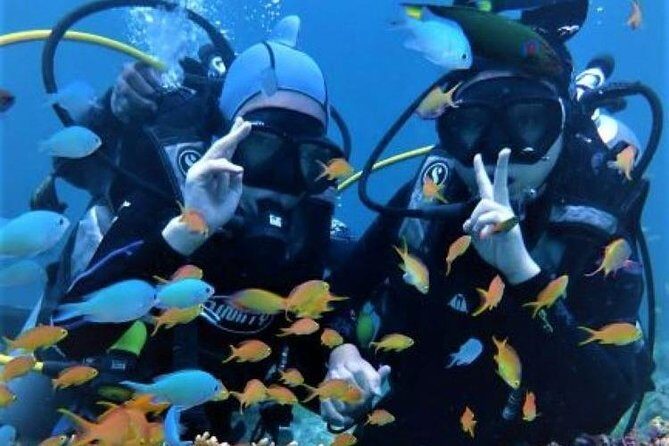 Scuba Diving & Water Sports - FAQ