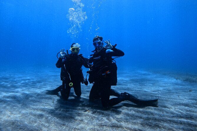 Scuba Experience in Tenerife with Guide - Introduction