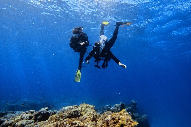 Scuba Experience in Tenerife with Guide - Key Points