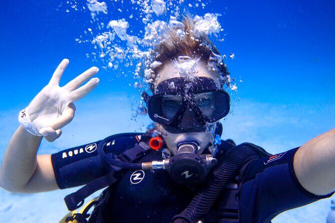 Scuba Referral Dives & Beach Club with Transportation In Riviera Maya - The Beach Club and Post-Dive Relaxation