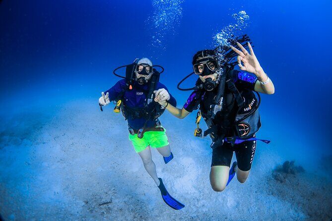 Scuba Referral Dives & Beach Club with Transportation In Riviera Maya - Who Will Love This Tour?