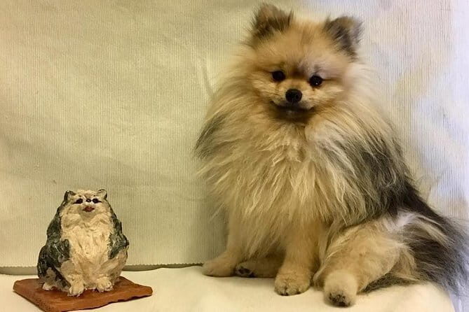 Sculpt to Florentine Pet - Key Points