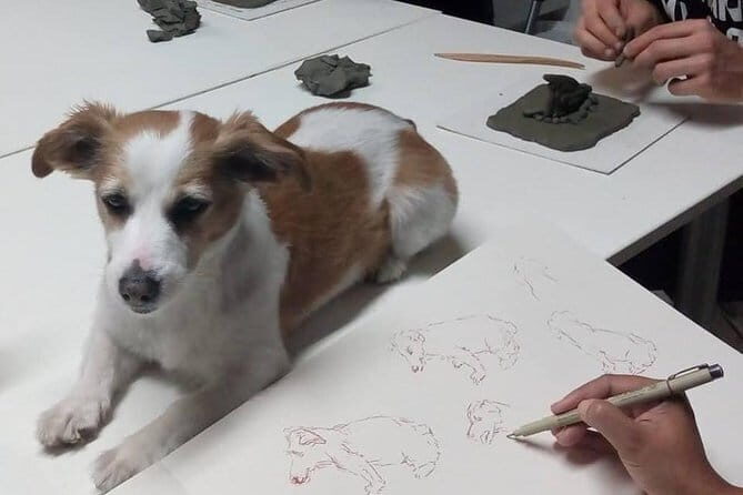 Sculpt to Florentine Pet - What To Expect from the Sculpt to Florentine Pet Experience