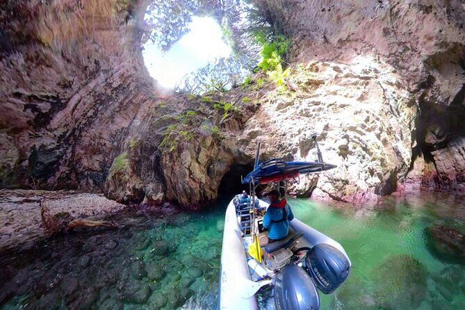 Sea Cave Adventures in the Coromandel - Why We Recommend Sea Cave Adventures