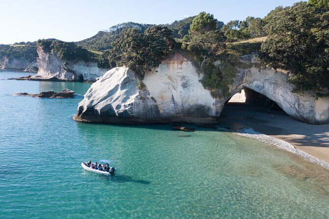 Sea Cave Adventures in the Coromandel - Who Will Love This Tour?