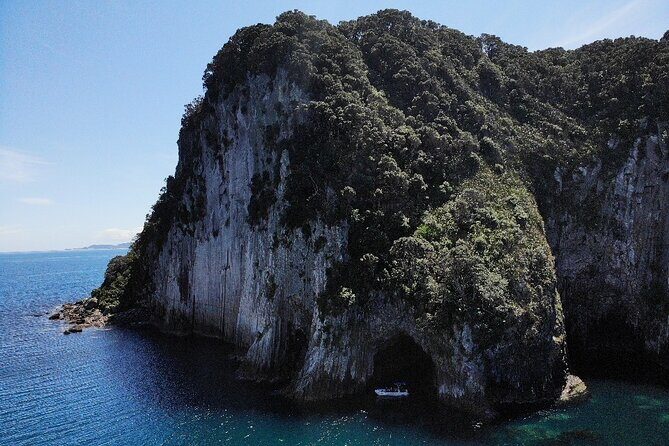 Sea Cave Adventures in the Coromandel - FAQs