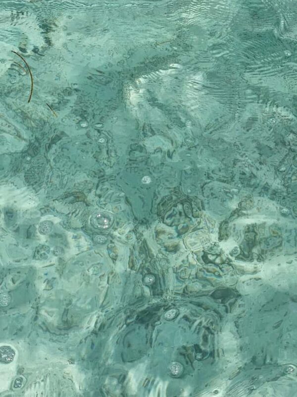 Sea excursion - Key Points