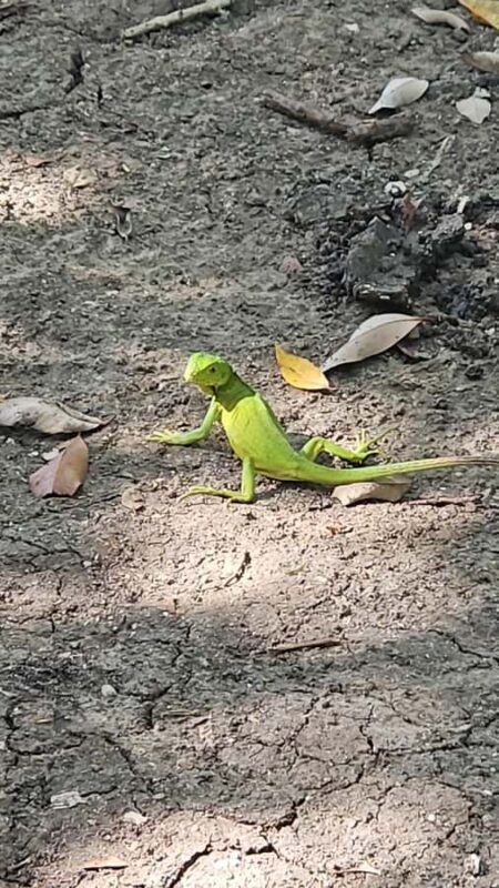 Sea excursion - Exploring the Itinerary: What to Expect