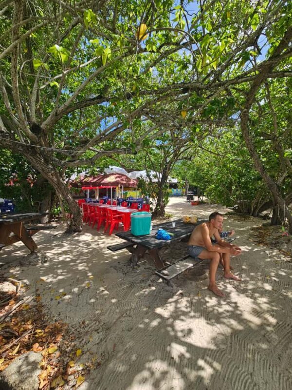 Sea excursion - Authentic Experiences and Traveler Feedback