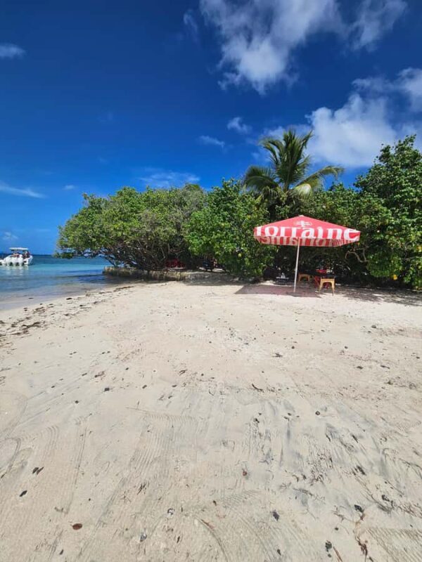 Sea excursion - Who Will Love This Tour?