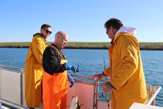 Sea Fishing Experience from Reykjavik - Discover the Authentic Icelandic Sea Fishing Experience from Reykjavik