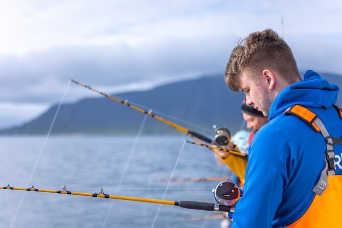 Sea Fishing Experience from Reykjavik - The Itinerary: What to Expect on Your Reykjavik Sea Fishing Trip