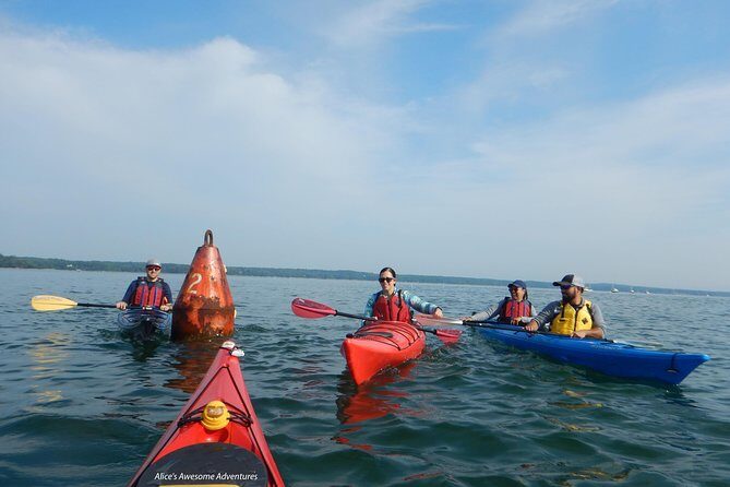 Sea Kayak to an Island Tour in Casco Bay - Final Thoughts