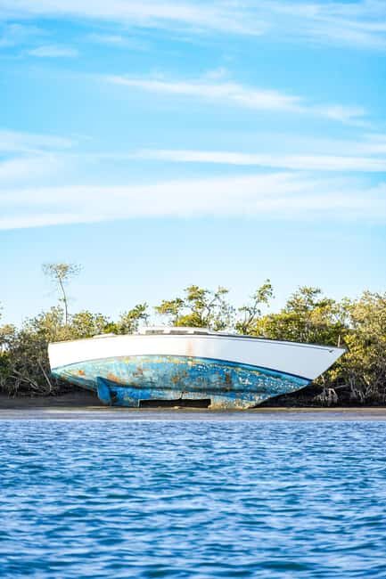 Sea Kayak Tour - Mangrove Safari - Introduction