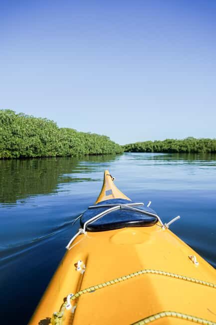 Sea Kayak Tour - Mangrove Safari - The Itinerary Breakdown