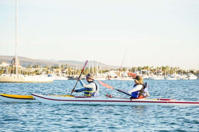 Sea Kayak Tour - Mangrove Safari - FAQ