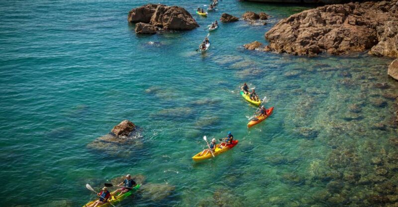 Sea kayak tour: Sète, the French pearl of the Mediterranean - Who Is This Tour Best For?