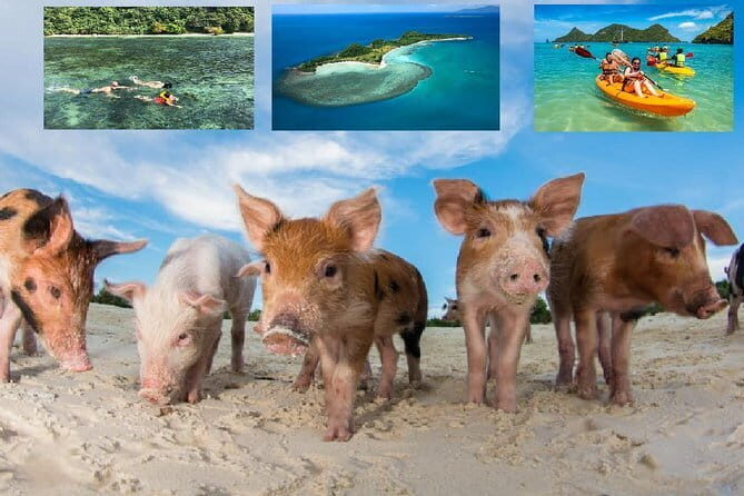 Sea Kayaking at Ang Thong National Marine Park from Koh Samui - FAQ