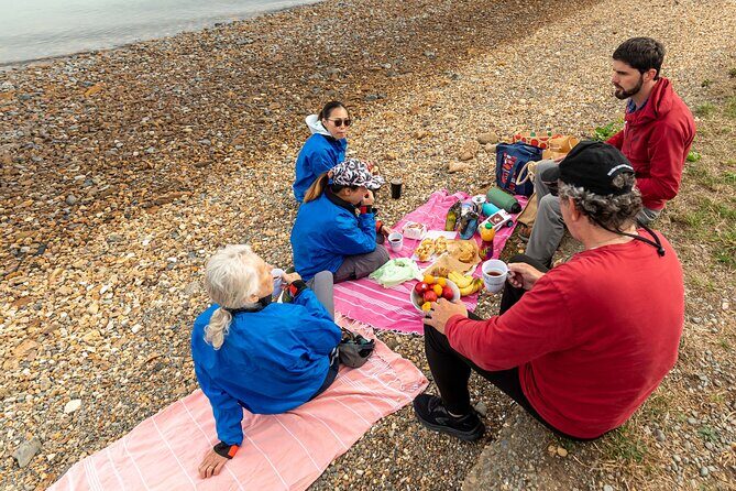 Sea Kayaking Christchurch, Lyttelton Harbour & Quail Island - Practical Details and Tips