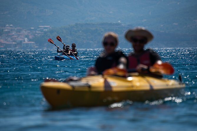 Sea Kayaking in Navarino Bay - Who Is This Tour Best For?
