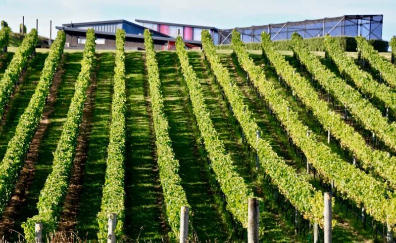 Sea, Land & Sky Premium Package - Key Points